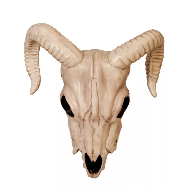 Ram Skull Decoration at Spirit Halloween