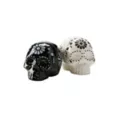 Sugar Skull Salt and Pepper Shakers at Spirit Halloween