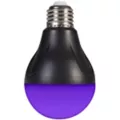 Black Light LED Bulb at Spencer's