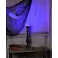 Black Light LED Bulb at Spencer's