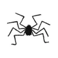 5 Ft Black Spider at Spirit Halloween