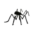 5 Ft Black Spider at Spirit Halloween