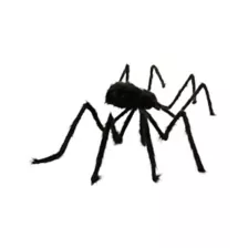 5 Ft Black Spider at Spirit Halloween