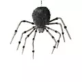 8 Ft Wolf Spider - Decorations at Spencer's