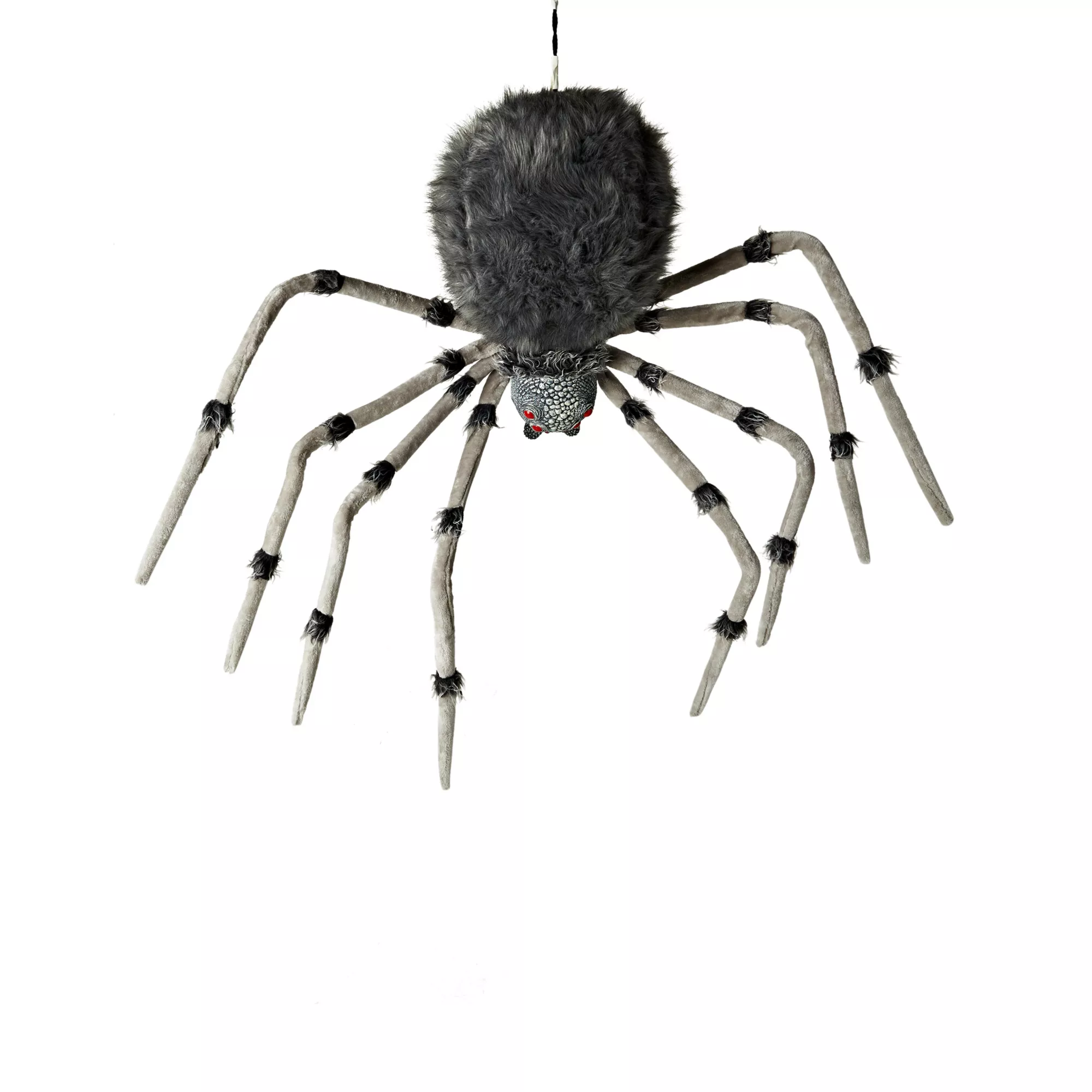 8 Ft Wolf Spider - Decorations at Spencer's