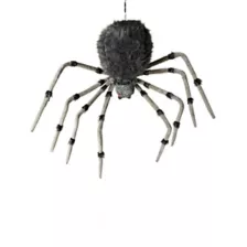 8 Ft Wolf Spider - Decorations at Spencer's