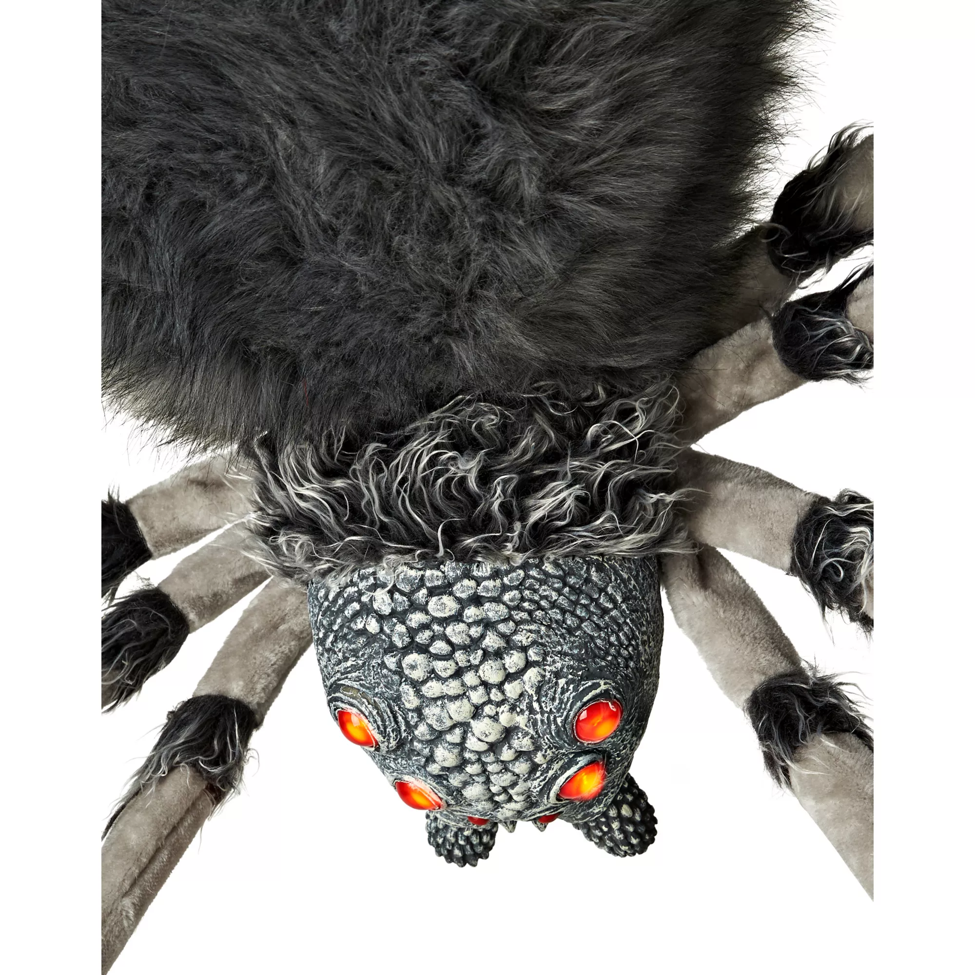 8 Ft Wolf Spider - Decorations at Spencer's
