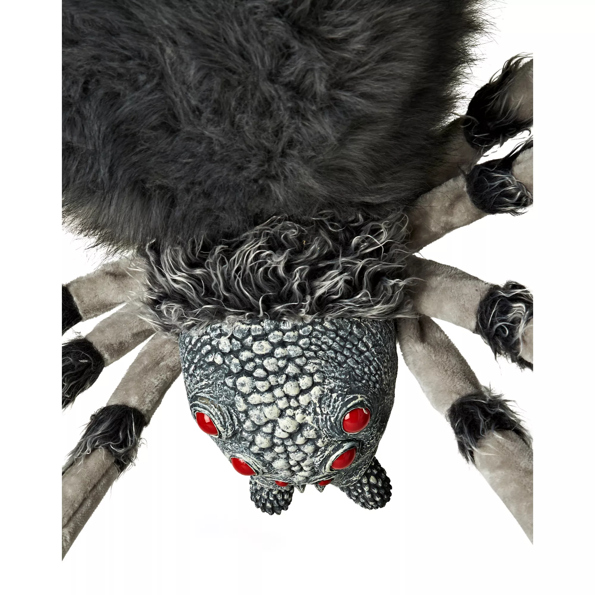 8 Ft Wolf Spider - Decorations at Spencer's