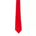 Basic Necktie at Spirit Halloween