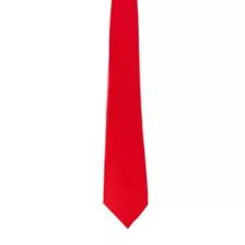 Basic Necktie at Spirit Halloween