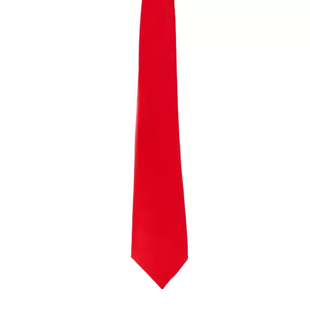 Basic Necktie at Spirit Halloween