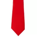 Basic Necktie at Spirit Halloween