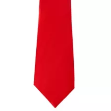 Basic Necktie at Spirit Halloween