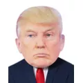 Tax Evasion Trump Half Mask at Spencer's