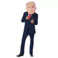 Tax Evasion Trump Half Mask at Spencer's