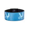Articuno Bracelet - Pokémon at Spirit Halloween