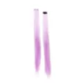 Pastel Lavender Hair Extension 2 Pack at Spirit Halloween