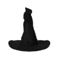 Black Wizard Hat at Spencer's