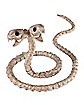 Two-Headed Snake Skeleton - Decorations