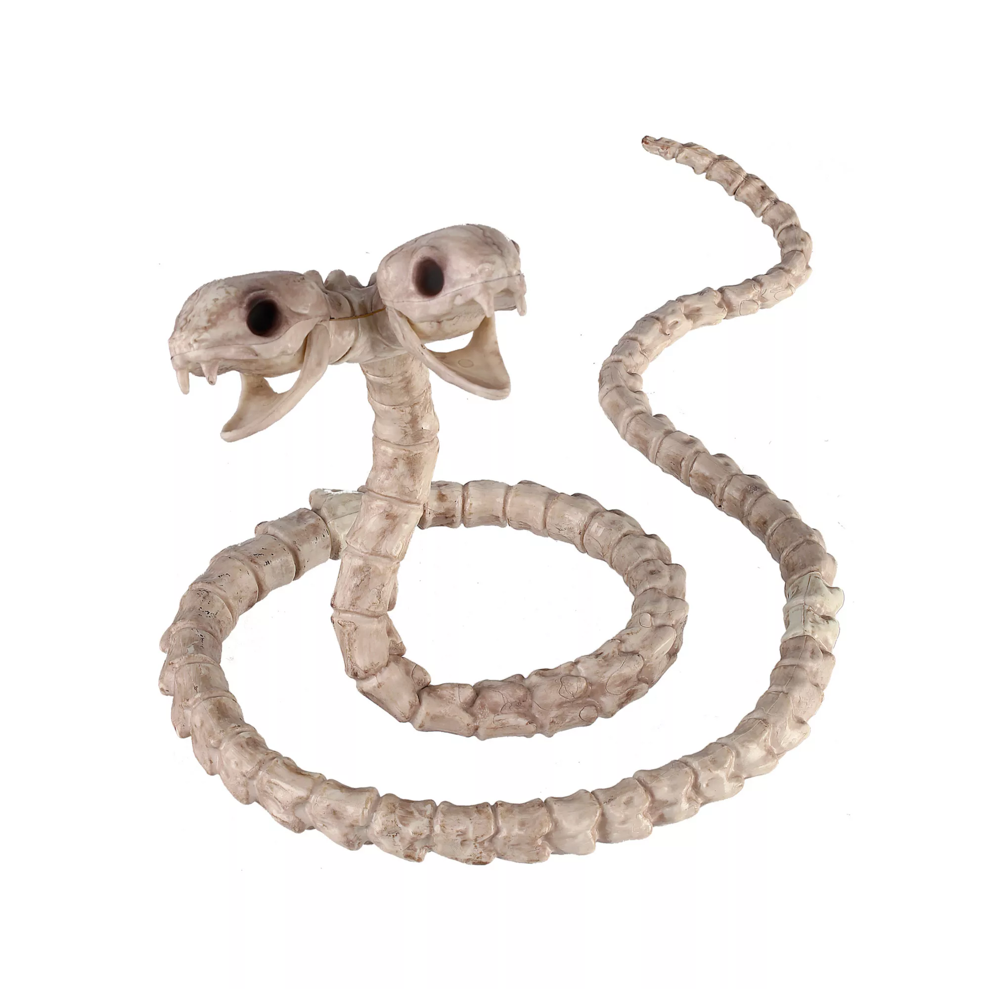 Two-Headed Snake Skeleton - Decorations at Spirit Halloween