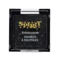Black Glitter Eyeshadow Palatte at Spirit Halloween