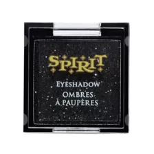 Black Glitter Eyeshadow Palatte at Spirit Halloween