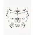 Boys Skull Face Tattoo at Spirit Halloween