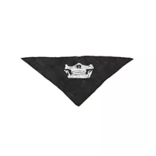 Boys Skull Biker Bandana at Spirit Halloween