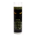 Hocus Pocus Candle - Disney at Spirit Halloween
