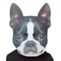 Big Head Foam Dog Half Mask at Spencer's