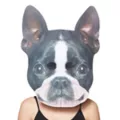 Big Head Foam Dog Half Mask at Spencer's