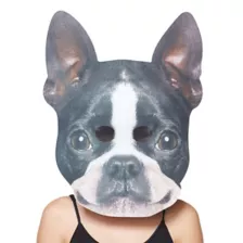Big Head Foam Dog Half Mask at Spencer's