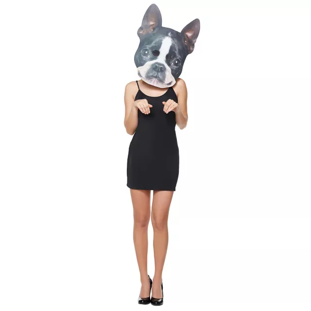 Big Head Foam Dog Half Mask at Spencer's