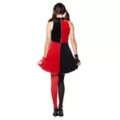 Adult Velvet Harley Quinn Costume - DC Comics at Spencer's