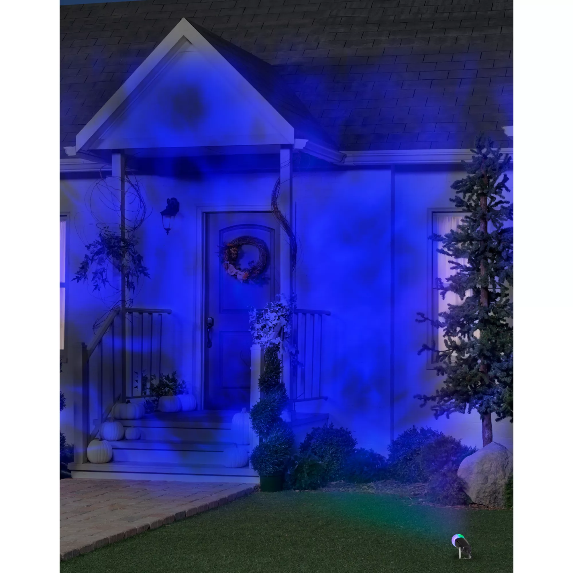 Halloween Lightshow Projection Fire & Ice Spotlight (Black Light) at Spencer's