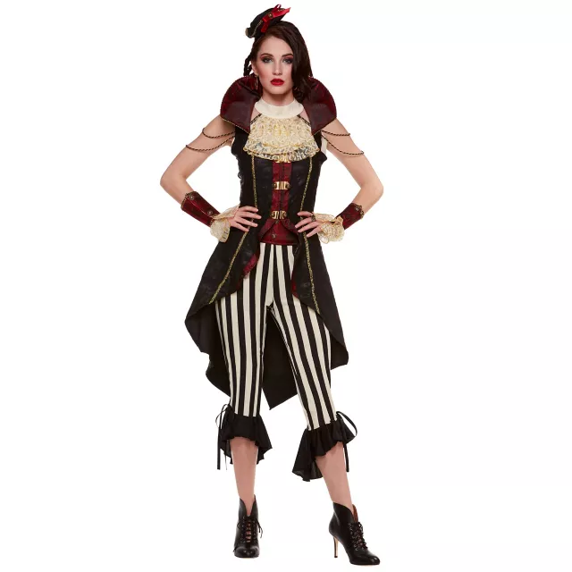 Adult Swashbuckler Pirate Costume - Spirithalloween.com