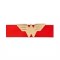 Wonder Woman Choker - DC Comics at Spirit Halloween