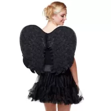 Black Velvet Angel Wings at Spencer's