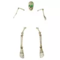 Light-Up Skeletal Remains Groundbreaker at Spencer's