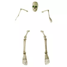 Light-Up Skeletal Remains Groundbreaker at Spencer's