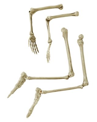 Light-Up Skeletal Remains Groundbreaker