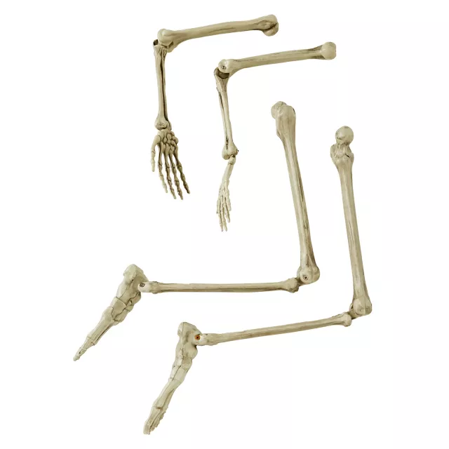 Light-Up Skeletal Remains Groundbreaker at Spencer's