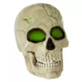 Light-Up Skeletal Remains Groundbreaker at Spencer's