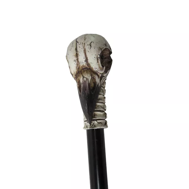 Raven Skull Staff at Spirit Halloween