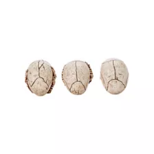 3 Inch Mini Skull Trio - Decorations at Spirit Halloween