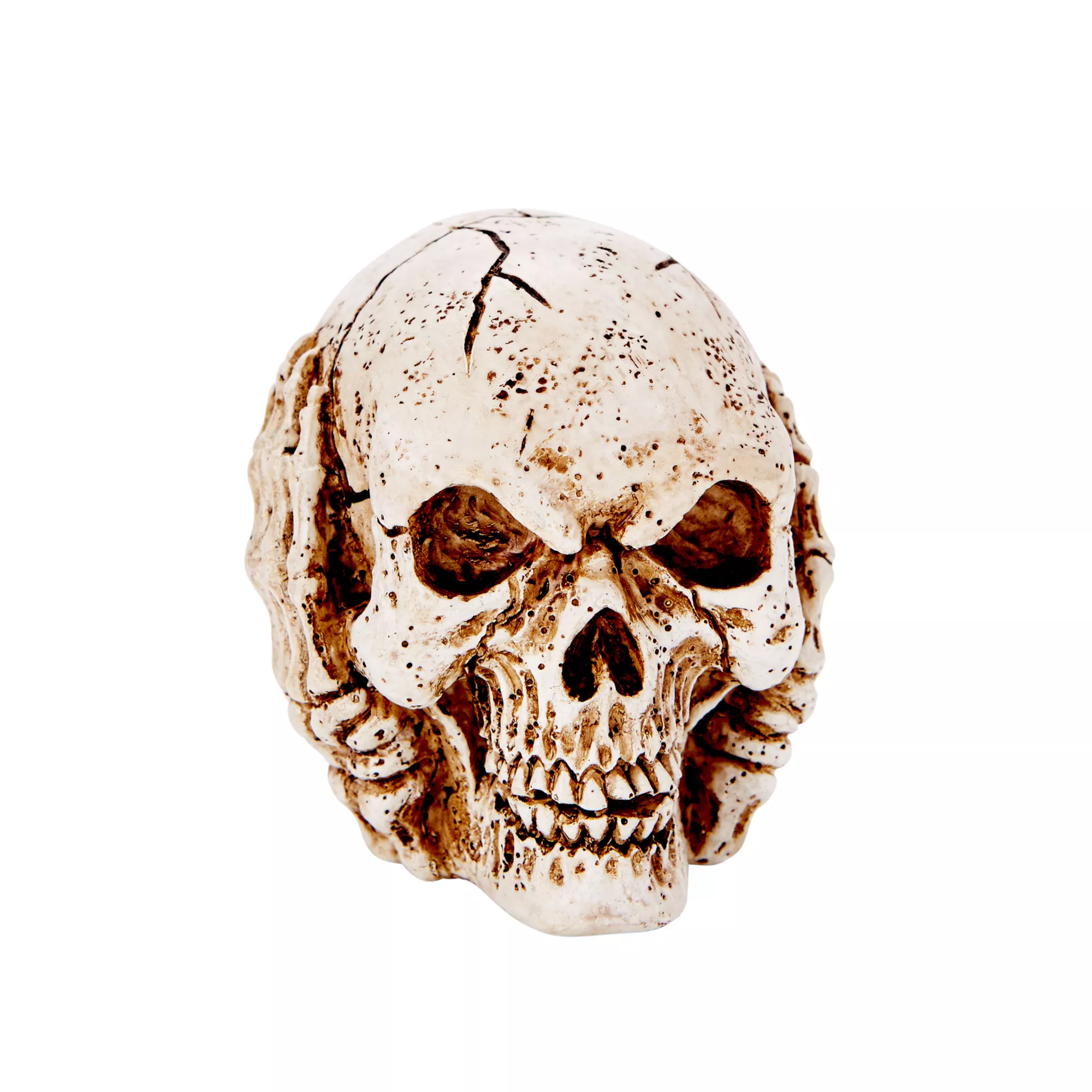 3 Inch Mini Skull Trio - Decorations at Spirit Halloween