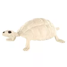 Skeleton Turtle - Decorations at Spirit Halloween