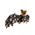 21 Inch Brown Bat at Spirit Halloween