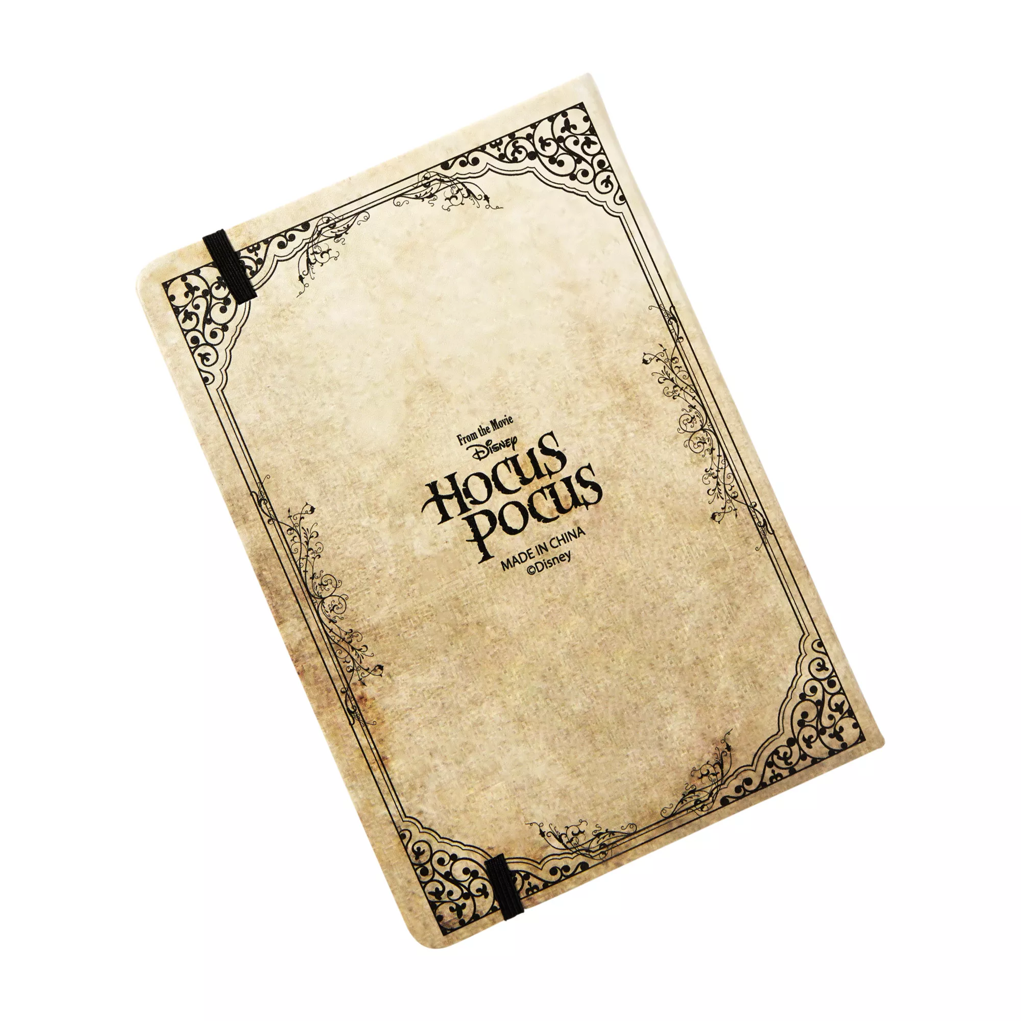 Museum of Witchcraft Journal - Hocus Pocus at Spirit Halloween