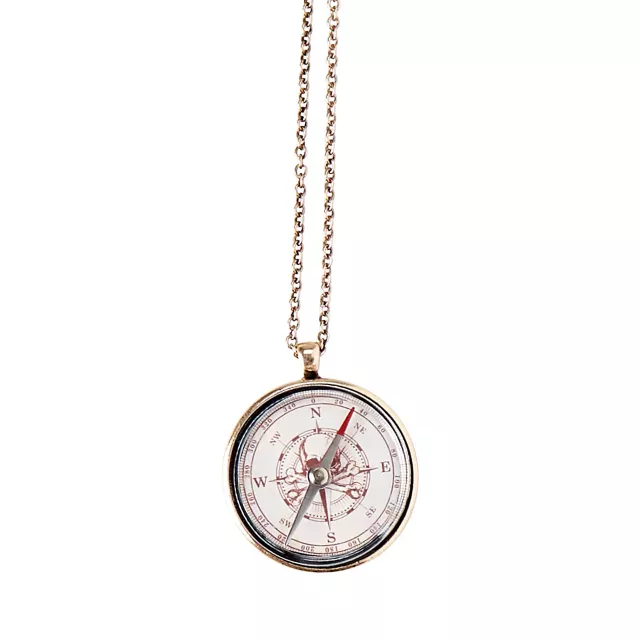 Pirate Skull Compass at Spirit Halloween